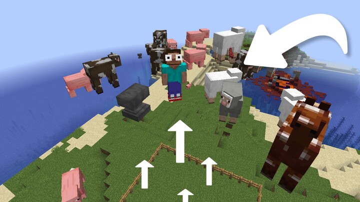 When a gravity block is added to the Minecraft server (Player: All my animals are flying… and so am 
