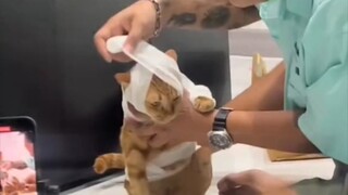 Khi bạn bè y tá muốn chỉ cho bạn cách băng bó