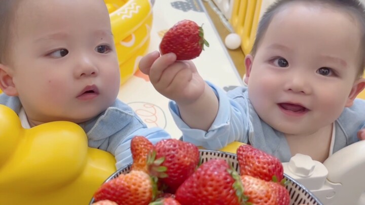 Saya hanya ingin melihat bagaimana reaksi anak-anak ketika mereka melihat stroberi, tetapi kalian be