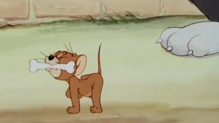 Oh my, the little mouse is doing it just right!