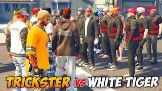 TRICKSTER VS WHITE TIGER ! MULAI MEMANAS ! -  GTA V ROLEPLAY INDONESIA