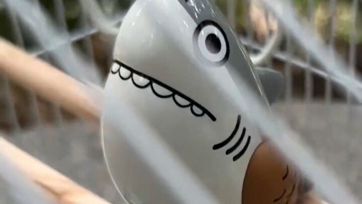 Shark & Eagle Series – Short Video 2