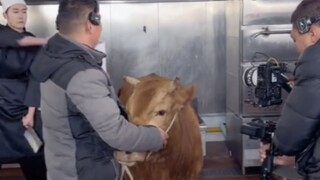 So this is how impressive knife skills can be. You wouldn't know unless you watched till the end!