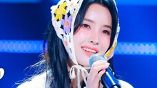 【Tian Xiaojuan】 240322 Official vertical version of "Fate"|Music Bank Counterattack Song Stage