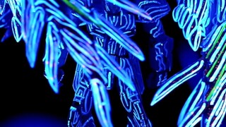 Do you believe in an afterlife?