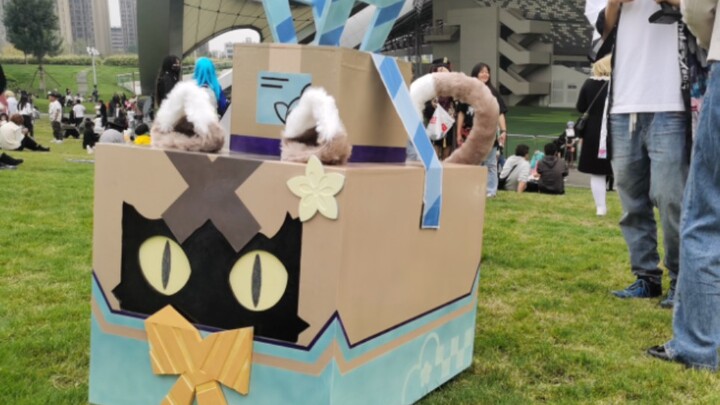 صندوق قطط كيريا اللطيف جدًا في معرض هالوين للكوميك في تشنغدو!