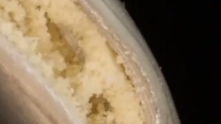 ما هو التعب المعدني؟