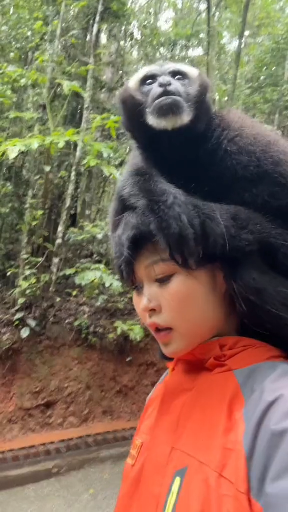 Getting up early to go to work