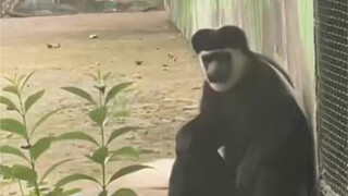 Awalnya cukup suka pergi ke kebun binatang...