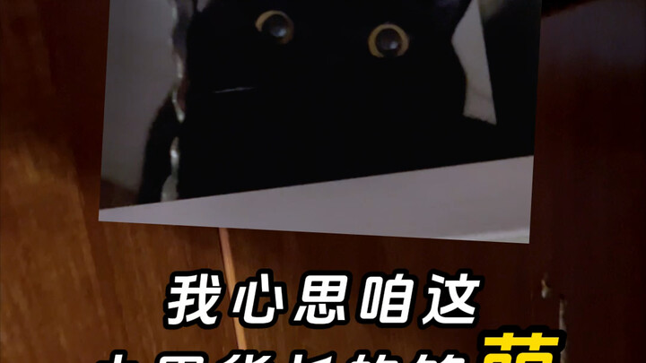 Ugh, with you two, I can never catch anything while it’s still hot…