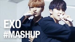 엑소 역대 활동곡 3분만에 부르기 (EXO MASHUP)