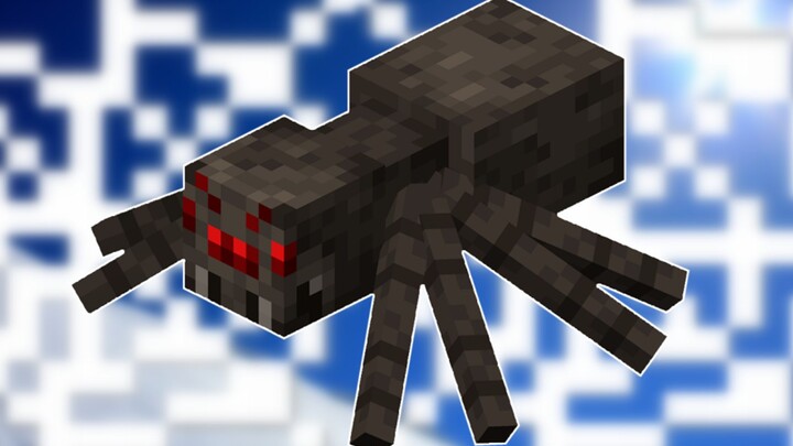 Fun Facts and Characteristics About “Spiders” You Might Not Know!
