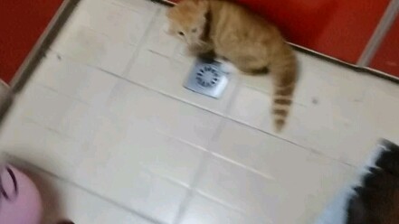 Gedung Nomor Tiga, Cabang Changsha