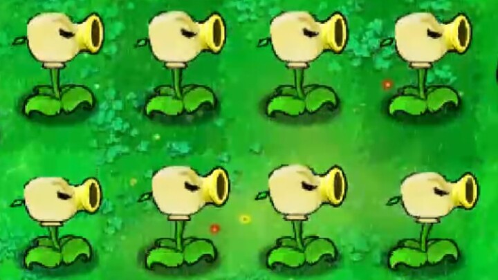 There really is a butter shooter plant?！