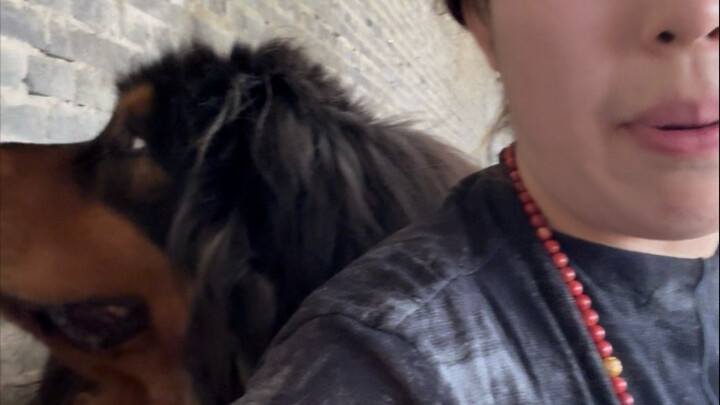 Đây là bạn đồng hành của tôi khi làm ruộng ngoài trời; mật hiệu của tôi khi gặp nguy hiểm là: “Cắc c