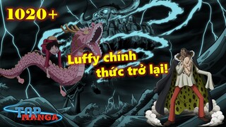 [One Piece 1020+]. Caribou gia nhập liên minh, Luffy cưỡi rồng về Hoa Đô?