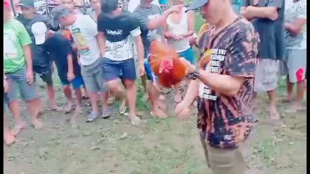 win#1