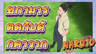 ชิกามารุ ติดกับดักคาวากิ