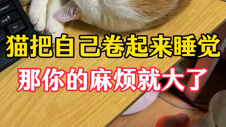 If the cat curls up into a tight ball to sleep, you’re in big trouble!