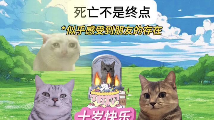 ถ้าวิทยาศาสตร์อธิบายไม่ได้ ก็ปล่อยให้มิตรภาพจัดการเถอะ