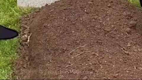 มส์ตลกลึกลับ