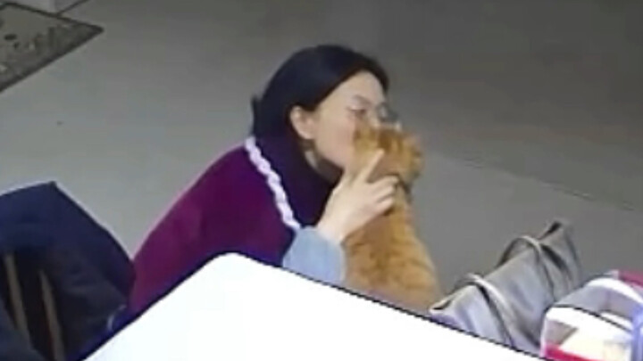 หลังจากเจ้าของแมวกลับถึงบ้าน