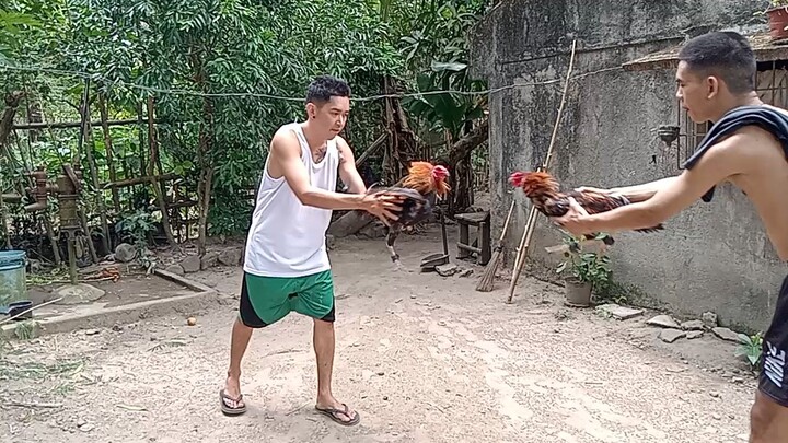 hatch vs sweater hinnie tamang unat unat lang habang mainit ang panahon ☺️