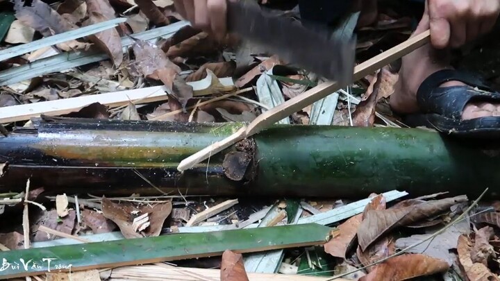 Sinh Tồn Trong Rừng Hoang (tập 4)✯Thăm Lại Bẫy Cá Và Làm Bẫy Chuột Rừng