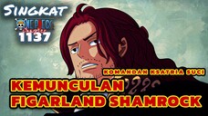 FIGARLAND SHAMROCK ⁉️REVIEW ONE PIECE 1137 TERBARU INDONESIA