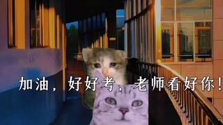当你在高考前一天遇见小学老师：