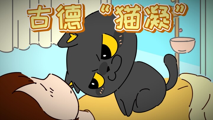 清晨六点，猫的强制叫醒服务~