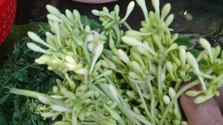 Rau dớn xào thập cẩm bữa cơm gia đình đơn giản mà ngon
