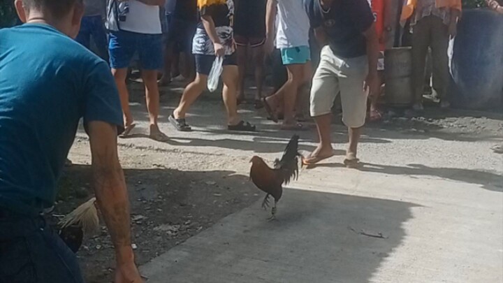 no scratch .. ginawang punching bag Yung kalaban . talisayin amin .