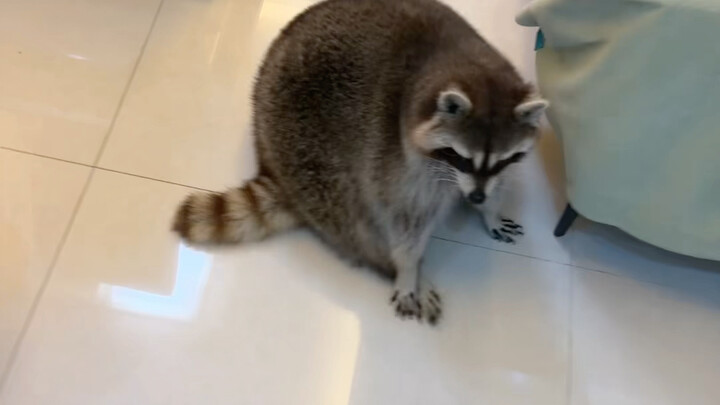Even when it hurts, I still know how to rub my butt
