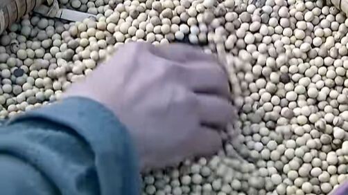 How could I possibly eat 500 tons of soybeans all by myself?