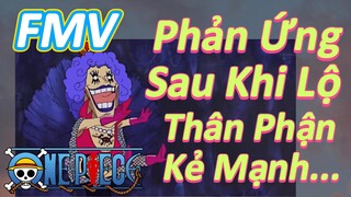 [Đảo Hải Tặc] FMV | Phản Ứng Sau Khi Lộ Thân Phận Kẻ Mạnh...