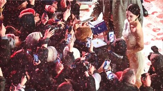 比美貌更强大的生命力，活着的花有一万种开法