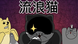 [禽兽朋友们] 流浪猫