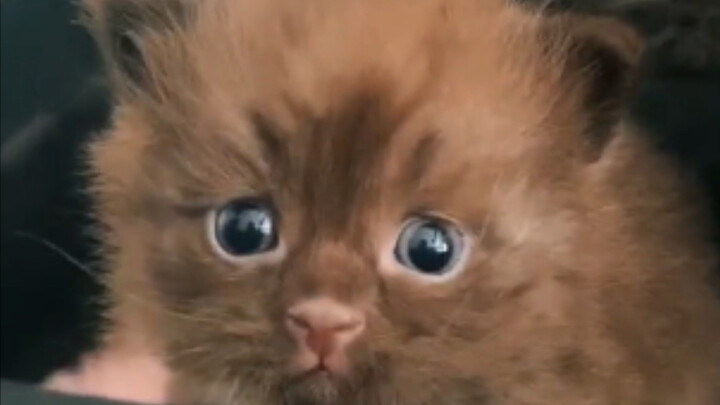 Huh? Where's my mom?