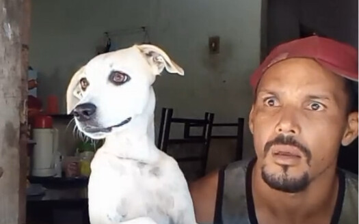 Dogs gossip more than their owners!