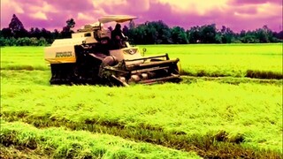 Máy Cắt Lúa KUBOTA DC 70 Plus l Nhạc Remix Sôi Động l Máy Gặt Lúa