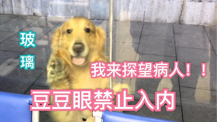 The dog went to visit his sick friend, but because his eyes were small, he couldn't get in and was v