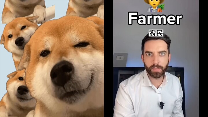 Haojing! (Instant Answer)