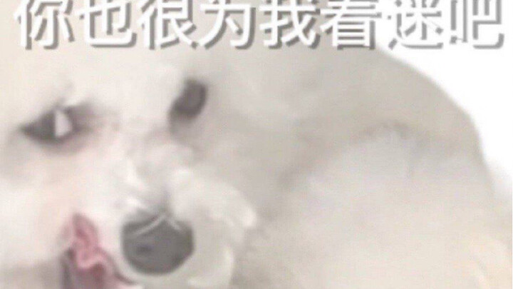 【TXT】伤我不浅，合法但部分有病的新锐档式编舞法