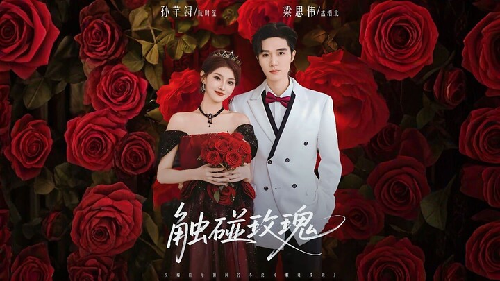 Touching Roses | Chu Peng Mei Gui | 触碰玫瑰