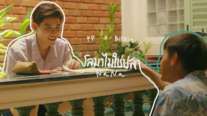 ปลาโลมาไม่ใช่ปลา เต๋โอ้เอ๋ว