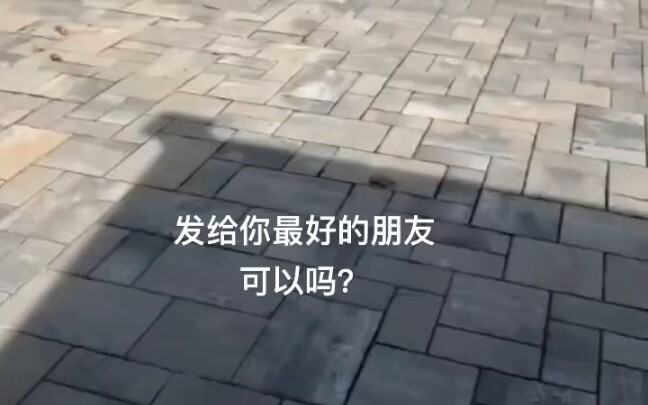 Share this video with your best friend!