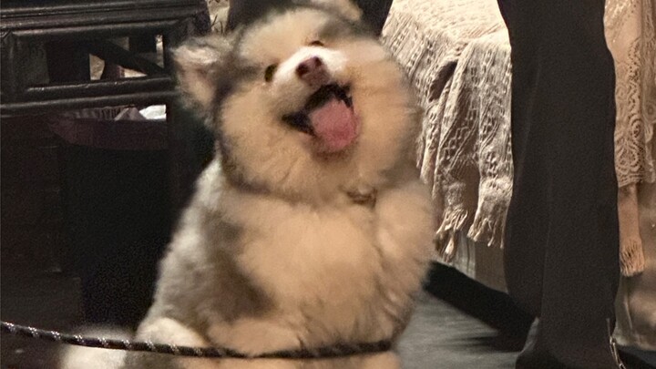 เย่เย่เป็นทารกที่น่ารักที่สุดในโลก!