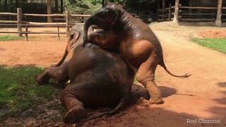 4 พฤศจิกายน 2562