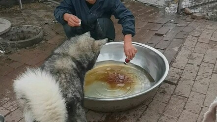 Winter’s here—need a blanket ASAP!